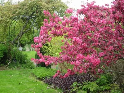 Jardin de Ginette à Beynac, Haute-Vienne (87)