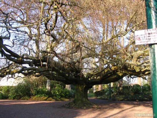 Jardin Public de Bayeux à Bayeux, Calvados (14)