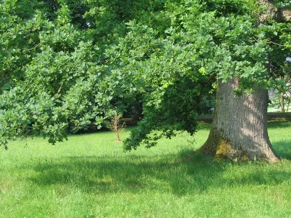 Jardin du Château de Pange à Pange, Moselle (57)