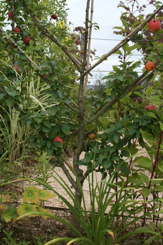 Jardins Fruitiers de Laquenexy à Laquenexy, Moselle (57)