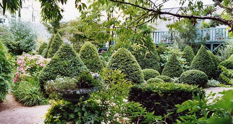 Jardin Agapanthe à Grigneuseville, Seine-Maritime (76)