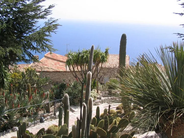 Jardin d'Eze - Jardin Exotique à Èze, Alpes-Maritimes (06)