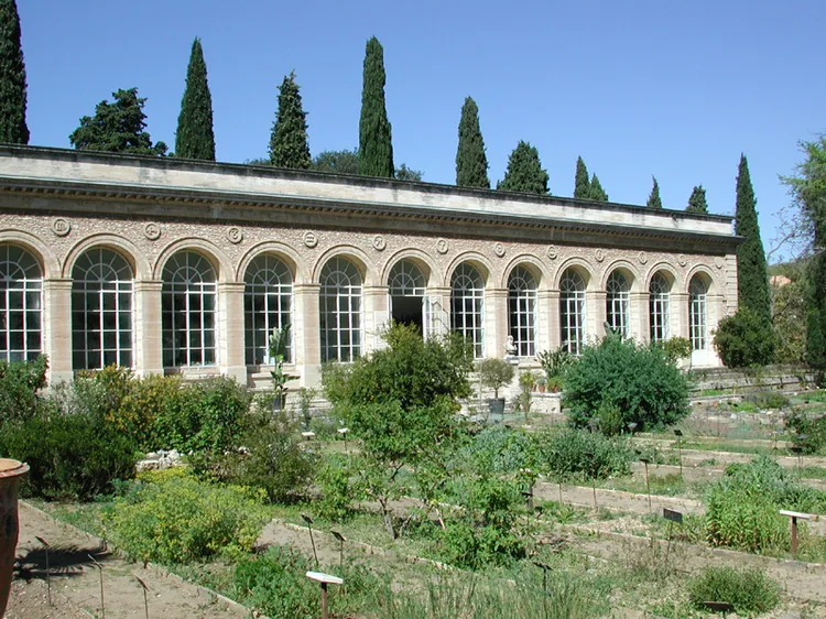 Jardin des Plantes à Montpellier, Hérault (34)