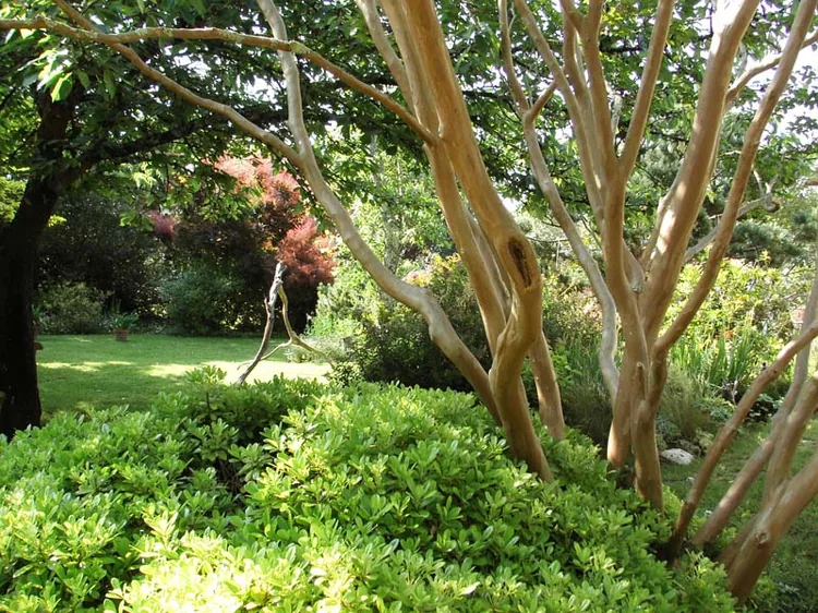 Jardin du Fond de l'Or à Lugon-et-l'Île-du-Carnay, Gironde (33)
