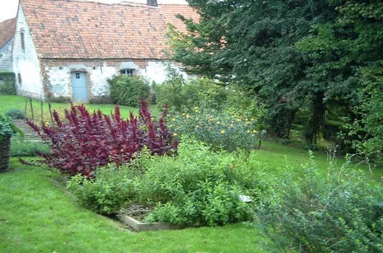 Jardin du Manoir d'Henocq à Bréxent-Énocq, Pas-de-Calais (62)