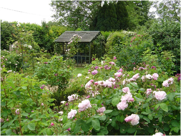 Jardins de la Mansoniere à Saint-Céneri-le-Gérei, Orne (61)