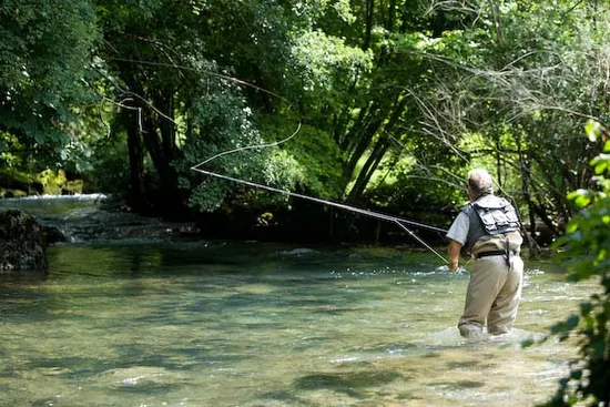 pêche à la mouche de la truite sauvage