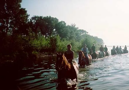 Kentucky Ranch à Argelès-sur-Mer, Pyrénées-Orientales (66)