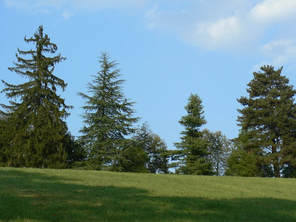 L'Arboretum de Payssas à Lasseube, Pyrénées-Atlantiques (64)