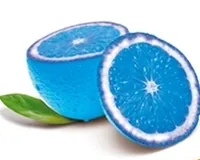L' Orange Bleue à Rennes, Ille-et-Vilaine (35)