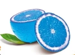 L' Orange Bleue à Cesson-Sévigné, Ille-et-Vilaine (35)