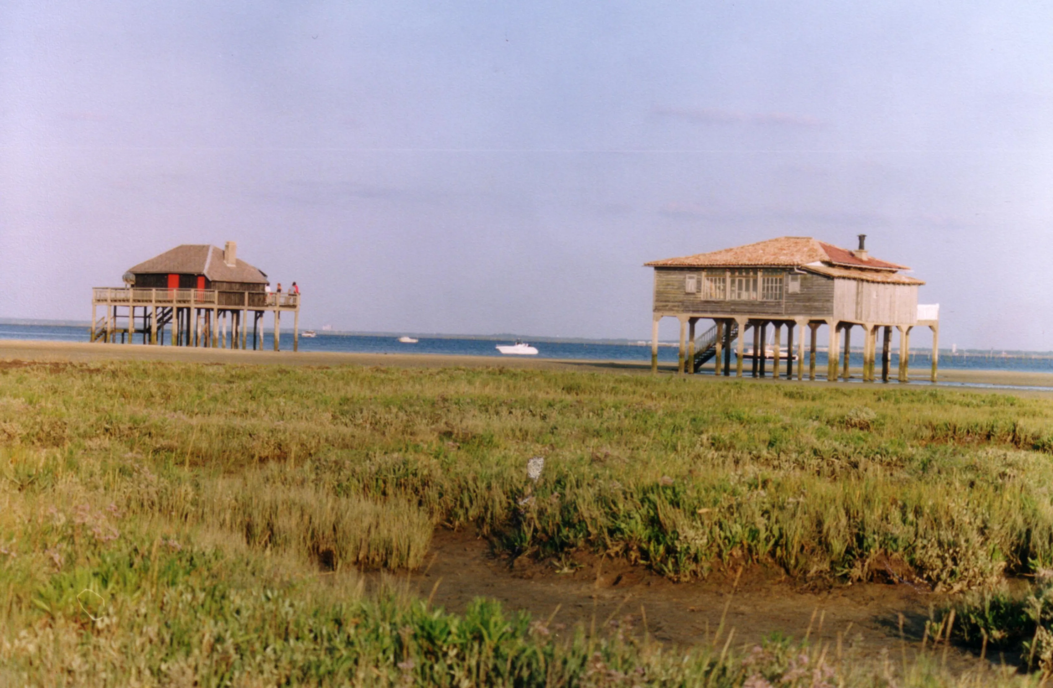 L'Île aux Oiseaux à La Teste-de-Buch, Gironde (33)
