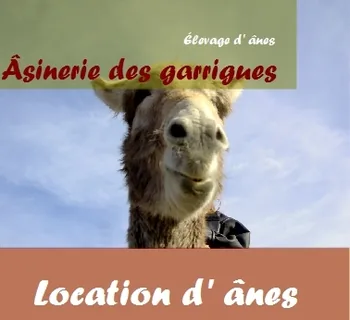 L'Asinerie des Garrigues à Sauve, Gard (30)