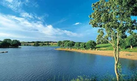 L'Etang de la Forge à Martigné-Ferchaud, Ille-et-Vilaine (35)