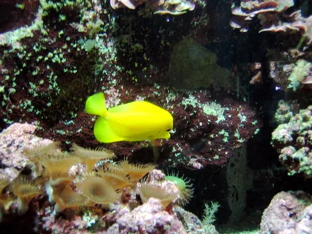 L'Ocearium à Le Croisic, Loire-Atlantique (44)