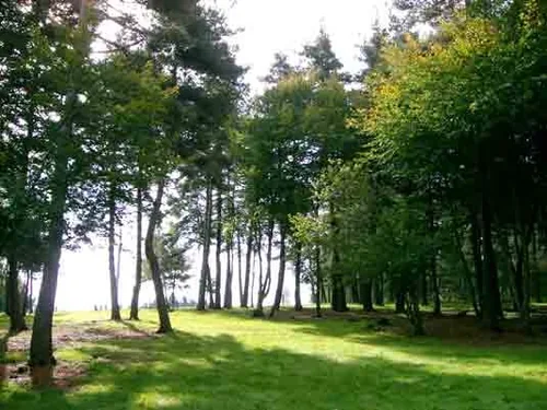 L'Âne Rit à Saint-Amant-Roche-Savine, Puy-de-Dôme (63)