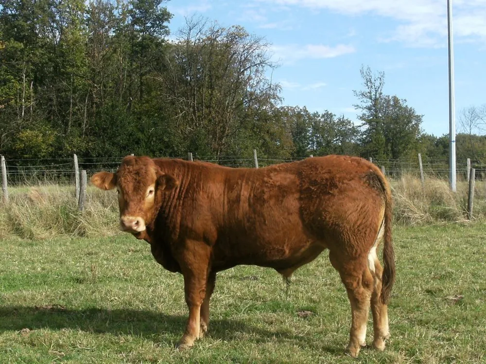 La Ferme de la Revole à Primarette, Isère (38)