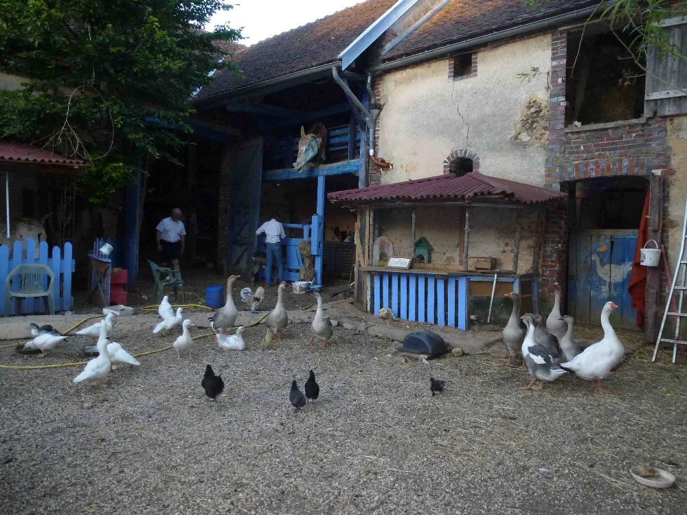 La Ferme du Fays à Cerisiers, Yonne (89)