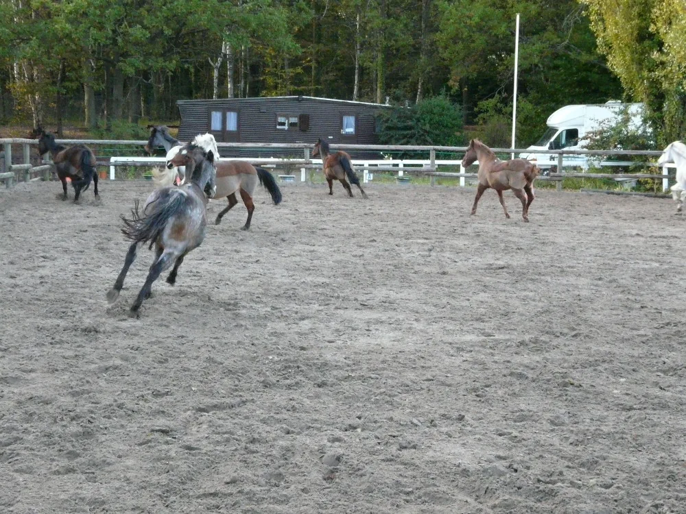 La Petite Cavalerie à Triel-sur-Seine, Yvelines (78)
