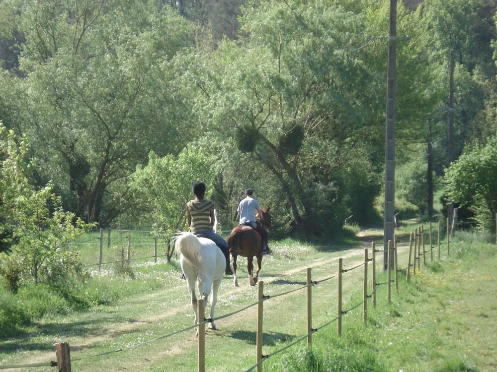 La Petite Vallee à Azay-sur-Cher, Indre-et-Loire (37)