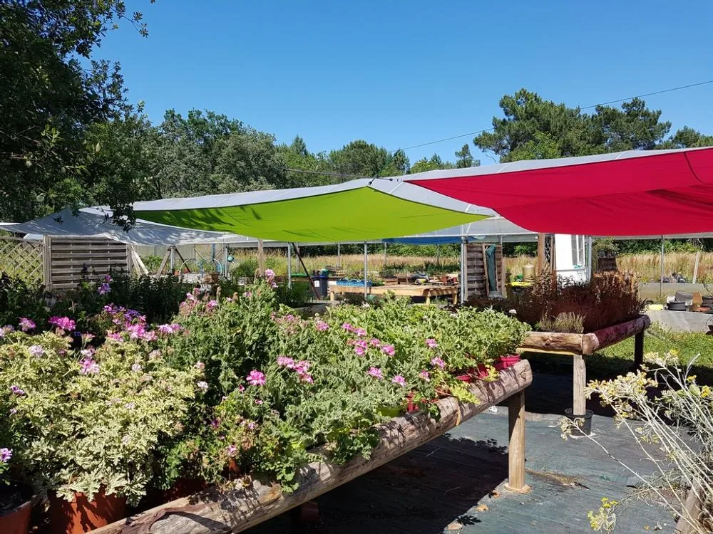 La Serre ô Délices à Biganos, Gironde (33)