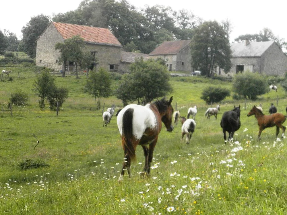 La Vergnolle à Chamborand, Creuse (23)