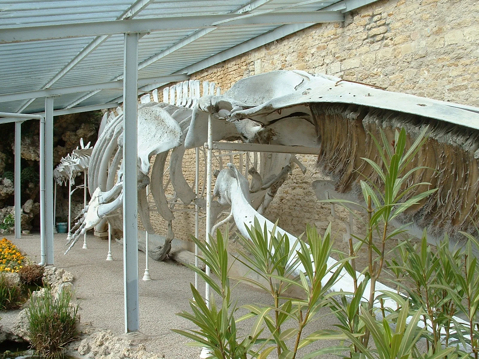La Maison de la Baleine à Trouville-sur-Mer, Calvados (14)