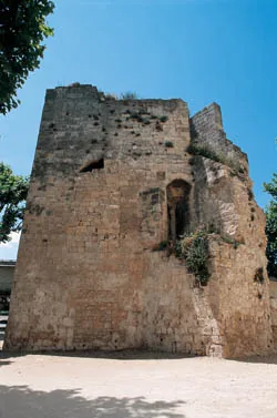 la Tour de L'Ecorchoir en Arles, Bouches-du-Rhône (13)