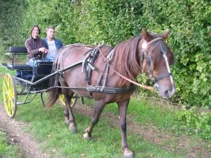 La Calèche d'Isis à Saint-Saturnin, Charente (16)