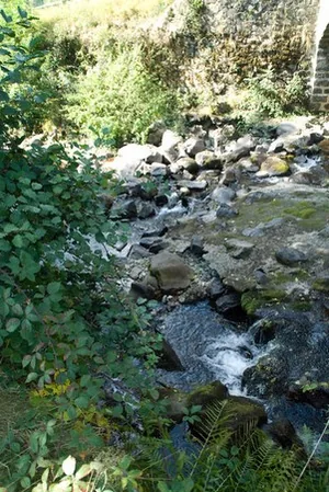 La Rivière Goul à Vic-sur-Cère, Cantal (15)