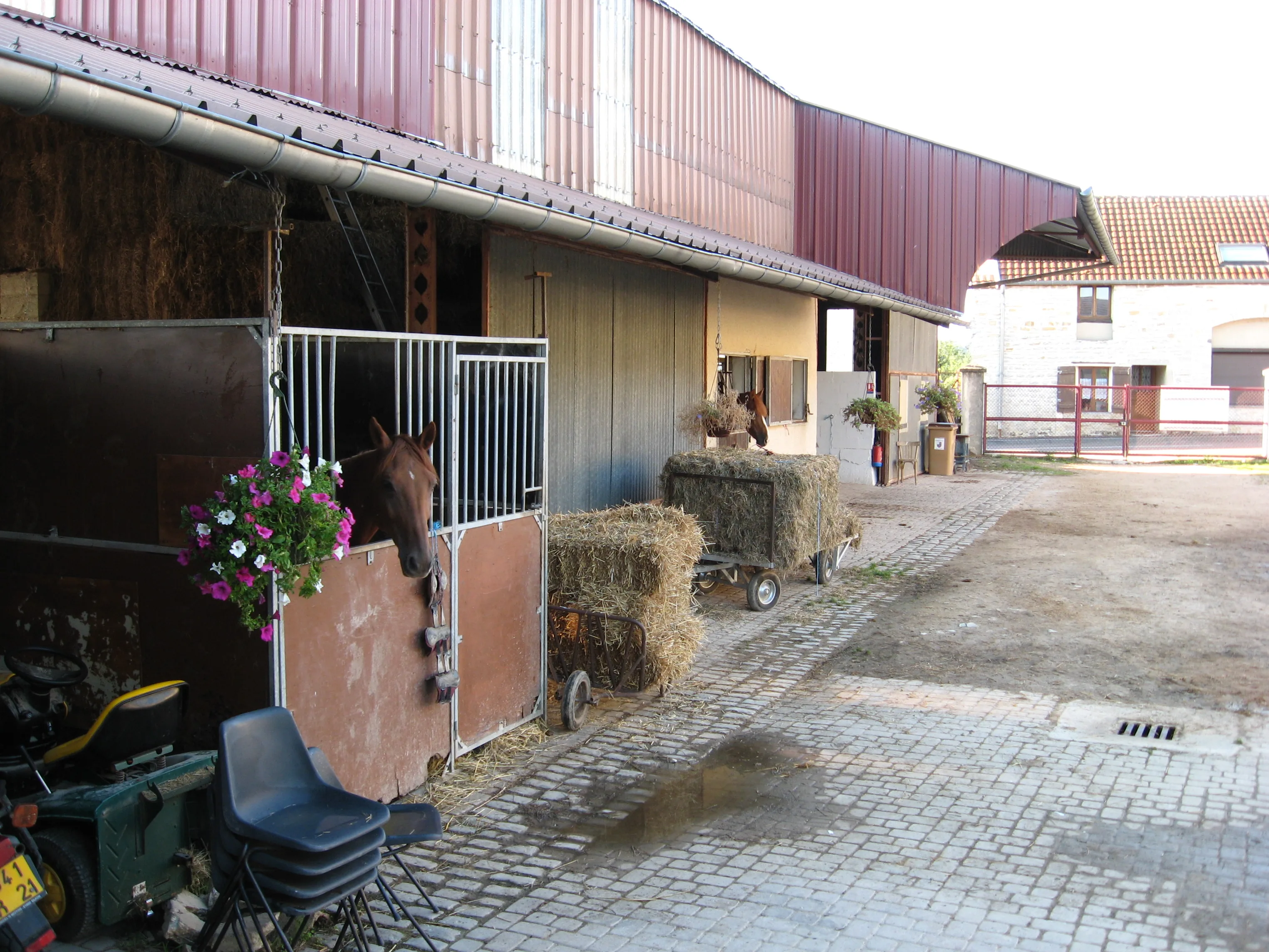 La Ferme équestre des Monts à Corcelles-les-Monts, Côte-d'Or (21)