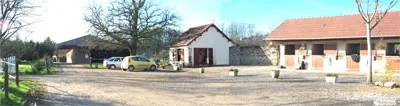 La Forêt à Cheval à Brignac-la-Plaine, Corrèze (19)