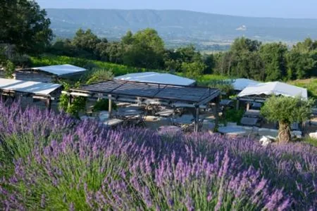 Ici, au milieu des vignes, notre personnel de restauration vous mitonne tout le charme de la Provence. 
Construit en restanques, sous la treille ou chaque pilier accroche un cep, entouré de lavandes et de vignes...ouvert sur l'un des plus beaux paysages au monde, à midi ou à l'heure du couher du soleil . La cuisine est conviviale, raffinée, estivale, légère.