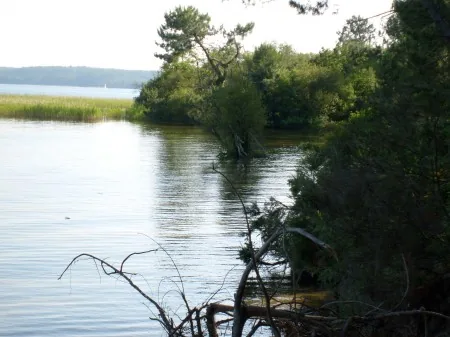 Lac de Cazaux à Pyla sur Mer, Gironde (33)