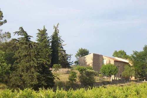 La Grand'Vigne à Brignoles, Var (83)