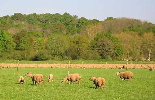 La Grange de Georges à Lay-Lamidou, Pyrénées-Atlantiques (64)