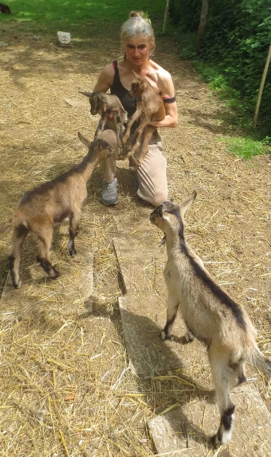 La Ferme du Fays à Cerisiers, Yonne (89)