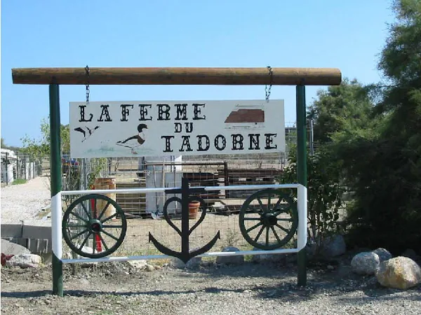 La Ferme du Tadorne à Port-Saint-Louis-du-Rhône, Bouches-du-Rhône (13)