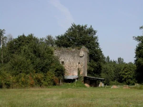 La Tourasse à Léogeats, Gironde (33)