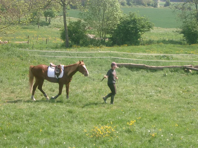 La Chevauchee à Ville-en-Tardenois, Marne (51)