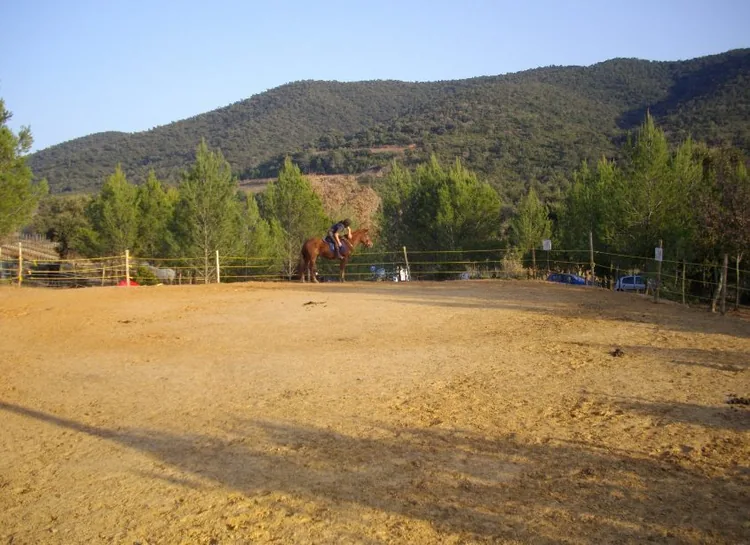 La Poulinhyeres à Hyères, Var (83)