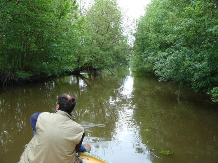 Lac Côte et Pêche à Tonnay-Boutonne, Charente-Maritime (17)