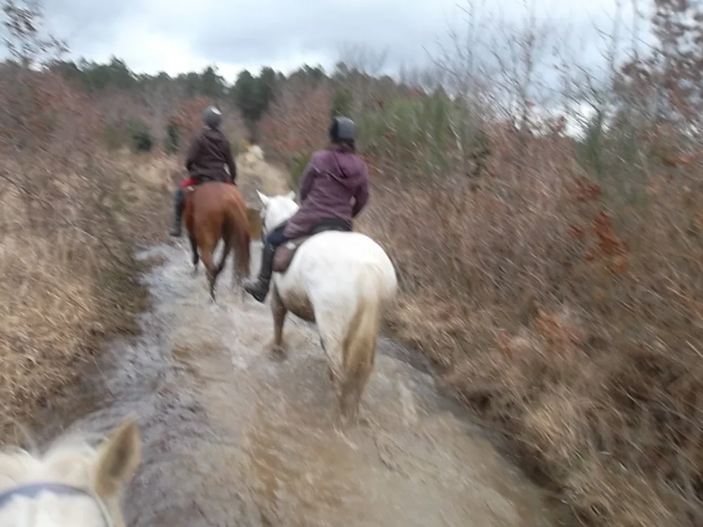 Le Gavre Endurance à Le Gâvre, Loire-Atlantique (44)