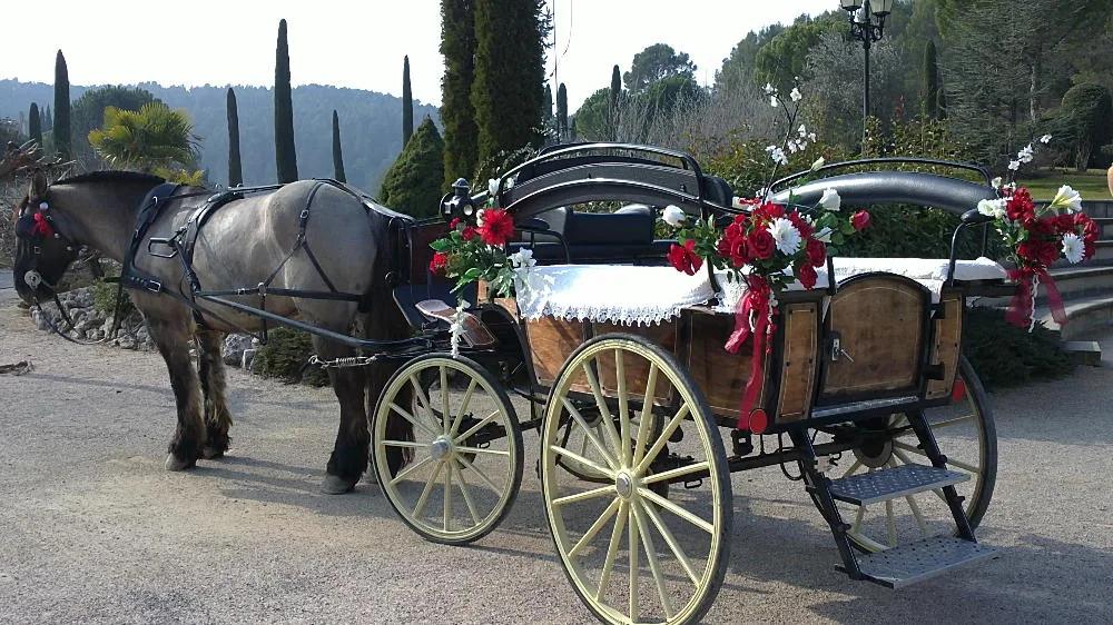 Les Calèches d'Annika à Bergerac, Dordogne (24)
