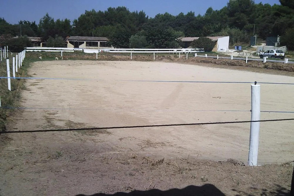 Les Chevaux des Alpilles à Fontvieille, Bouches-du-Rhône (13)