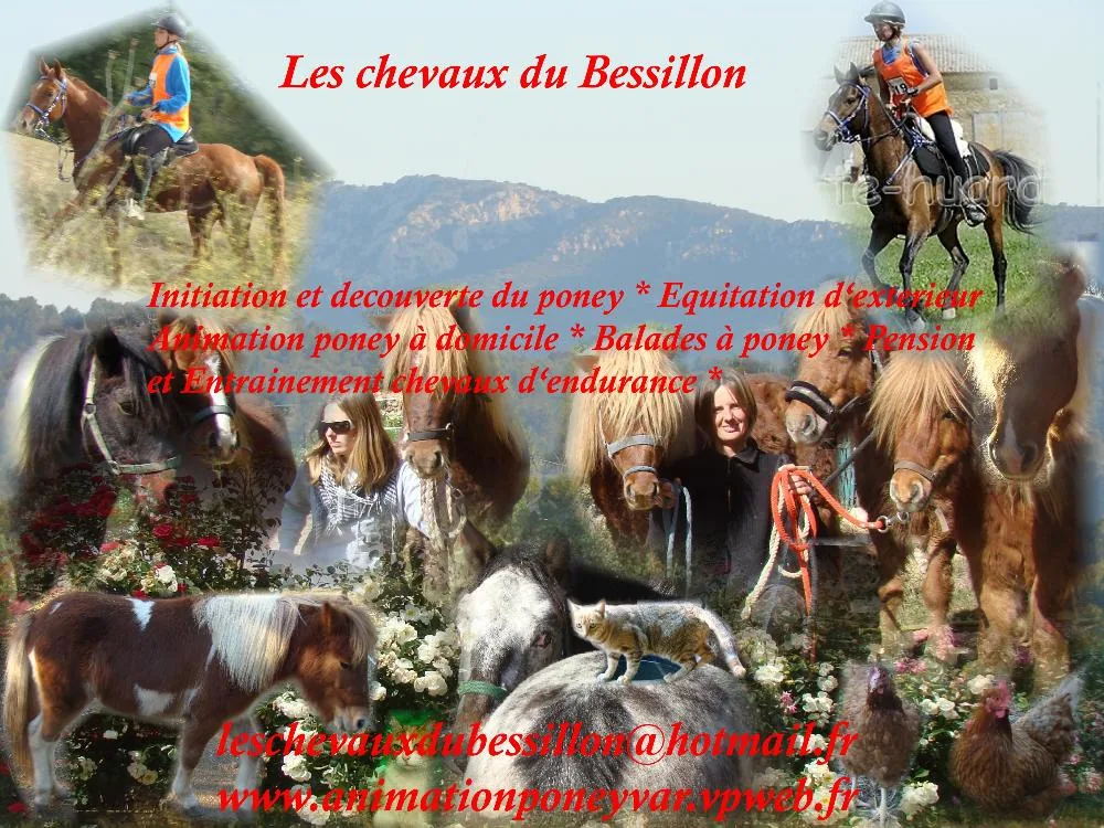 Les Chevaux du Bessillon à Carcès, Var (83)