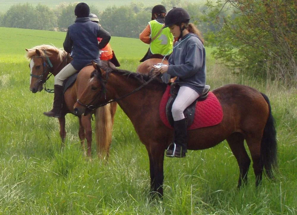 Les Ecuries des Chênes à Le Vézier, Marne (51)