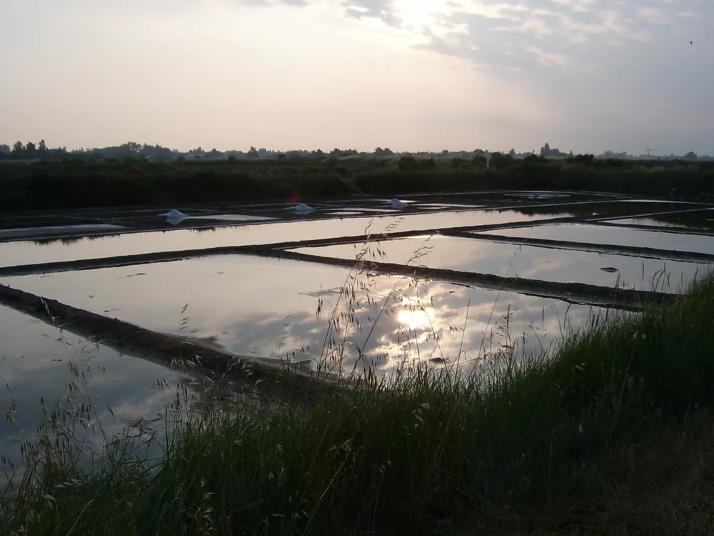 Les Salines à Les Sables-d'Olonne, Vendee (85)