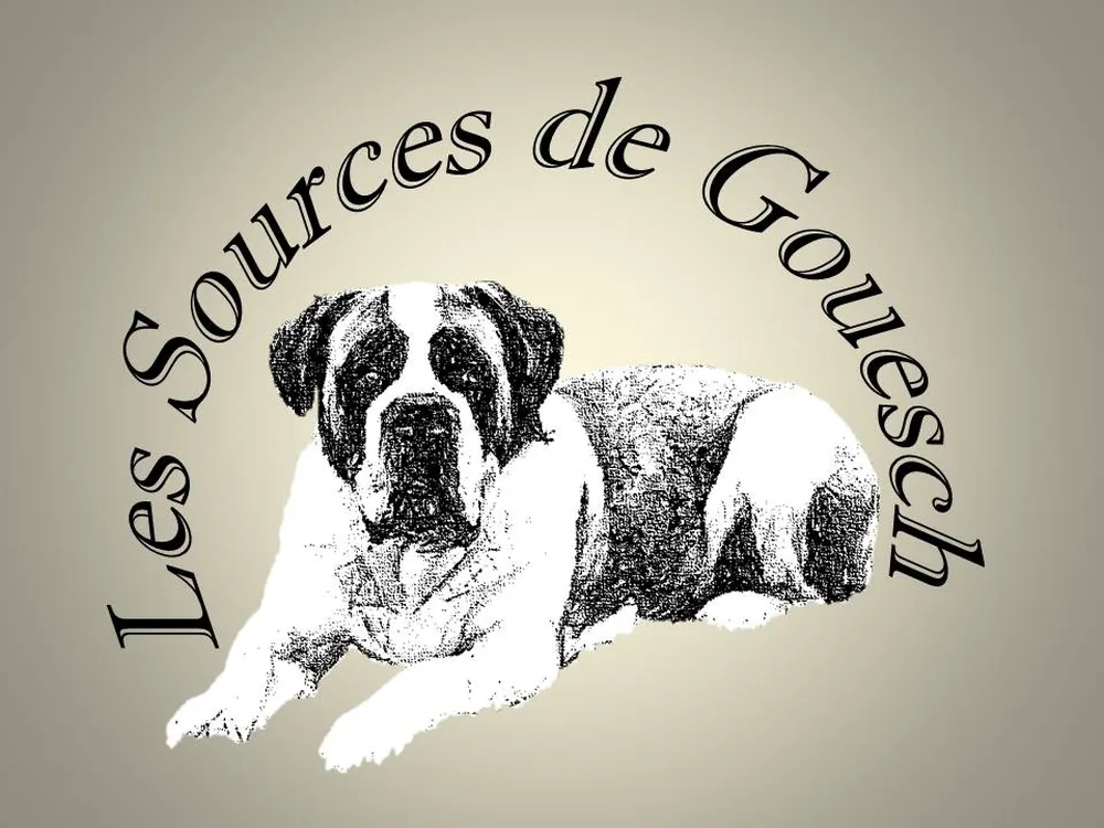 Les Sources de Gouesch à Saint-Pathus, Seine-et-Marne (77)