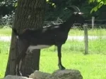 Le Lopin du Goût à Cramans, Jura (39)